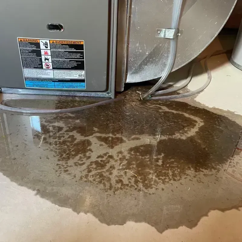 Appliance Leak Cleanup in Mount Vernon, KY